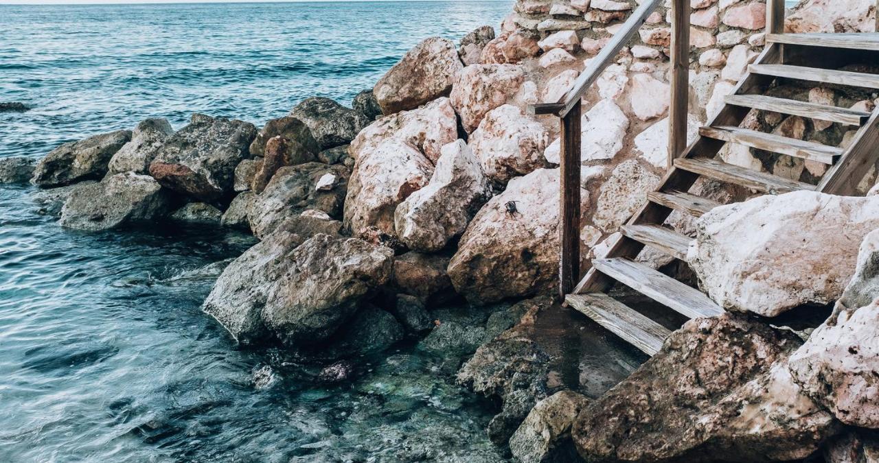 Terra Boutique Hotel Curacao ウィレムスタッド エクステリア 写真