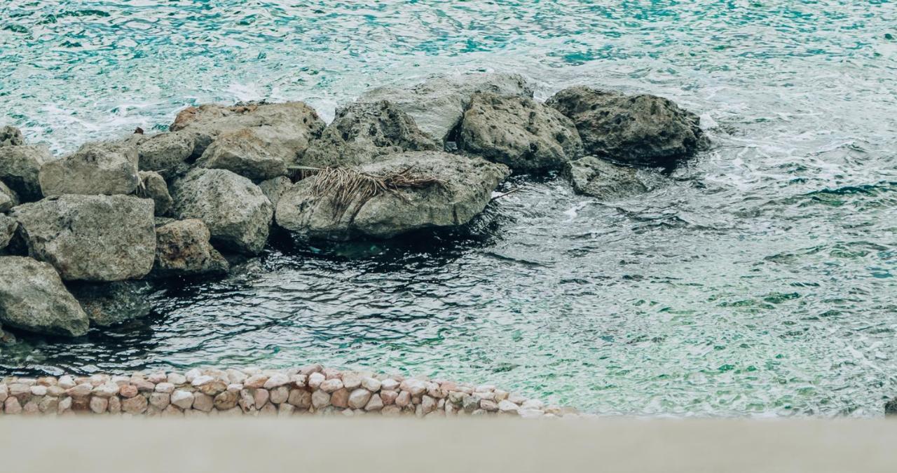 Terra Boutique Hotel Curacao ウィレムスタッド エクステリア 写真